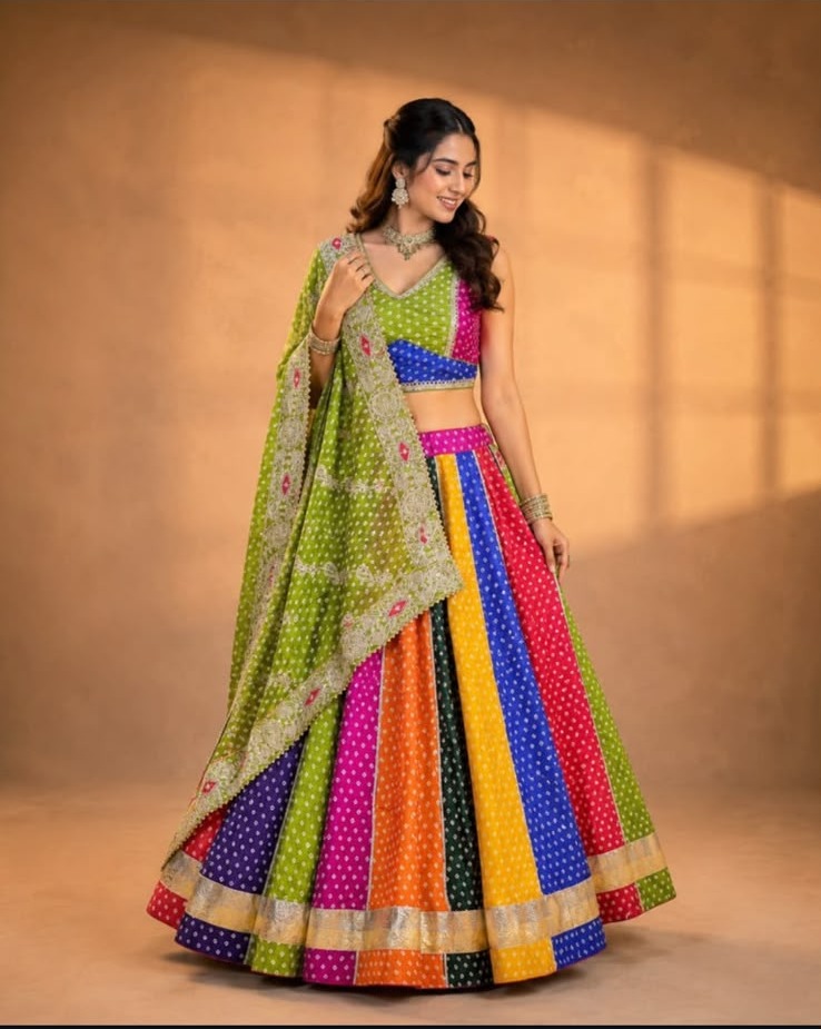 Colourful Navratri Chaniya Choli